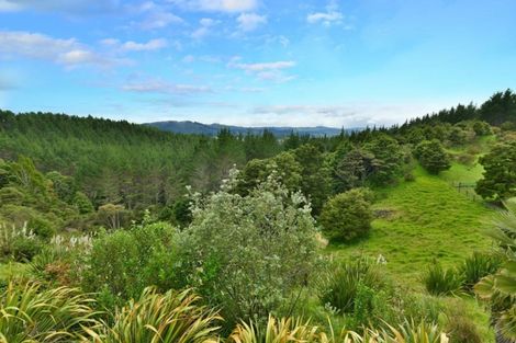 Photo of property in 255 Tuhirangi Road, Makarau, Warkworth, 0984