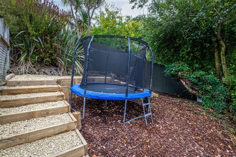 Photo of property in 29 Bishopsworth Street, Hillsborough, Christchurch, 8022