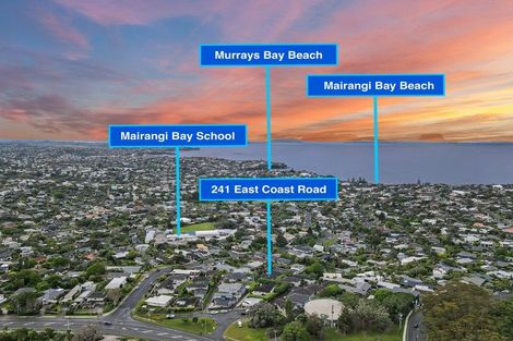 Photo of property in 241 East Coast Road, Mairangi Bay, Auckland, 0630