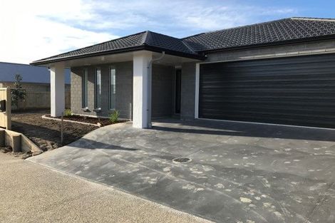 Photo of property in 17 Materawaho Way, Pyes Pa, Tauranga, 3112