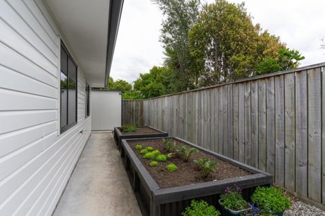 Photo of property in 88a Bannister Street, Masterton, 5810