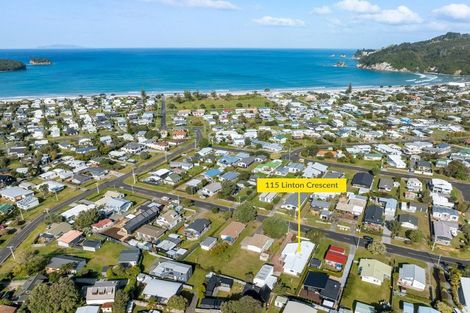 Photo of property in 115 Linton Crescent, Whangamata, 3620