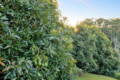 Photo of property in 70c Francis Road, Whakamarama, Tauranga, 3172