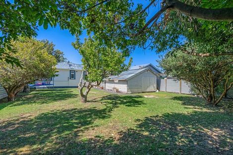 Photo of property in 16 Burns Avenue, Takaro, Palmerston North, 4412