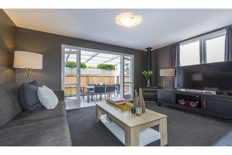 Photo of property in 41 Diamond Avenue, Spreydon, Christchurch, 8024