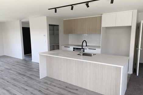 Photo of property in 13 Fairmaid Street, Lincoln, 7608