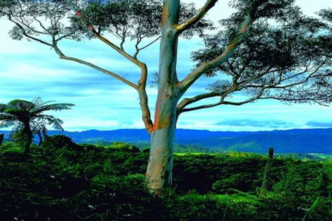 Photo of property in 431 Omaunu Road, Kaeo, 0479