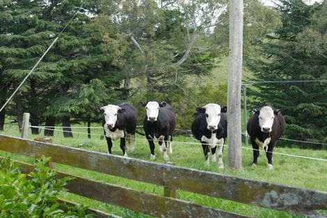 Photo of property in 513 Whakapirau Road, Maraekakaho, Hastings, 4174