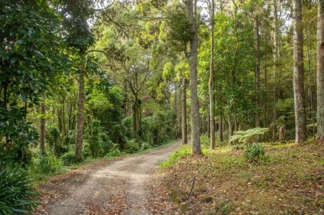 Photo of property in 356 Bull Road, Paparoa, Waiotira, 0193