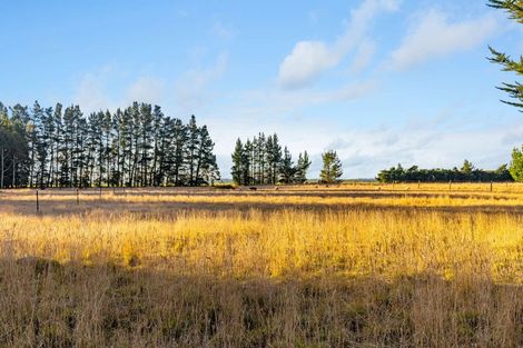 Photo of property in 244 Main Race Road, Eyrewell, Rangiora, 7476