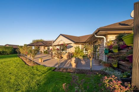 Photo of property in 16 Cameo Place, Matamata, 3472