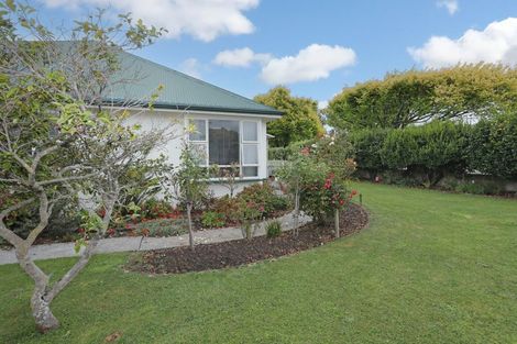 Photo of property in 151 North Street, Feilding, 4702