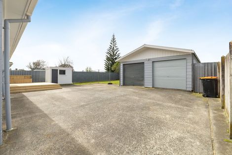 Photo of property in 58 Alexander Street, Awapuni, Palmerston North, 4412