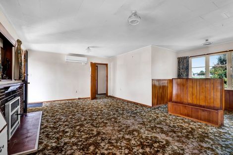 Photo of property in 13 Brecon Road, Stratford, 4332