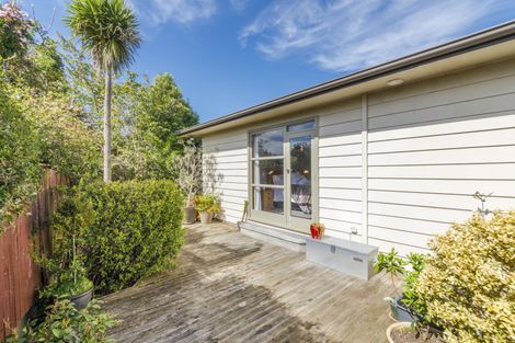 Photo of property in 38 Winston Avenue, Hokowhitu, Palmerston North, 4410