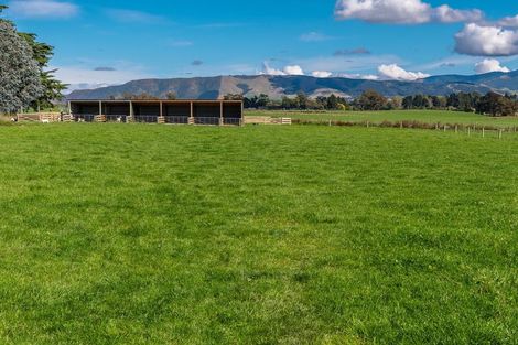 Photo of property in 302 Timaru Road, Waimate, 7978