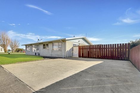 Photo of property in 55 Liverpool Street, Levin, 5510