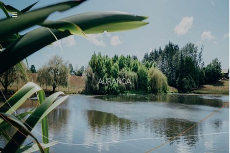 Photo of property in 7 Awhi Way, Karaka, 2578