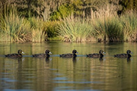 Photo of property in 163 Okere Road, Okere Falls, Rotorua, 3074