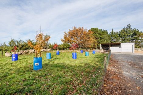Photo of property in 1867 Makino Road, Halcombe, Feilding, 4779