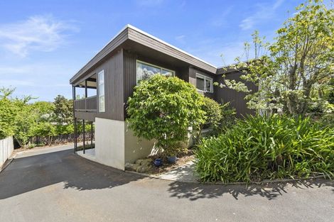 Photo of property in 58 Cambridge Road, Hillcrest, Hamilton, 3216