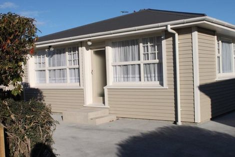 Photo of property in 19 Siddal Place, Richmond, Christchurch, 8013