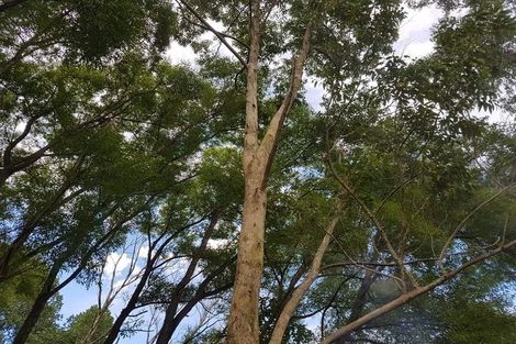 Photo of property in 576 Cemetery Road, Maunu, Whangarei, 0170