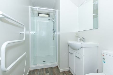 Photo of property in 58 Willoughby Street, Whitiora, Hamilton, 3200