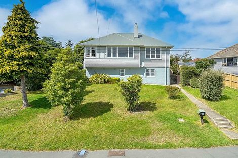 Photo of property in 23 Panmure Avenue, Calton Hill, Dunedin, 9012