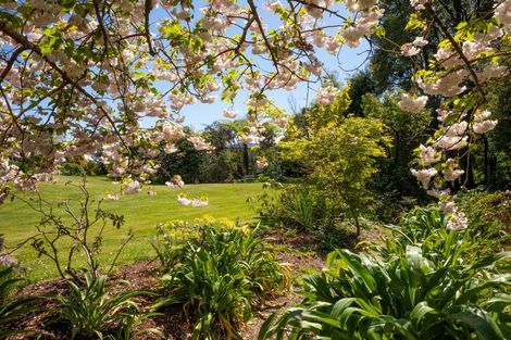 Photo of property in 137 Thorp Street, Motueka, 7120