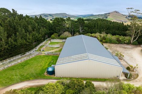 Photo of property in 53 Bushey Park Road, Bushey, Palmerston, 9482