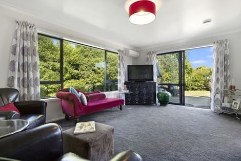 Photo of property in 446b Thames Street, Morrinsville, 3300