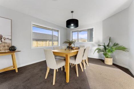 Photo of property in 163a Denbigh Street, Feilding, 4702