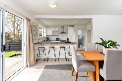 Photo of property in 18 Patrick Place, Fitzroy, Hamilton, 3206