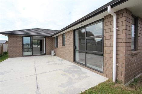 Photo of property in 39 Tupelo Street, Pukete, Hamilton, 3200
