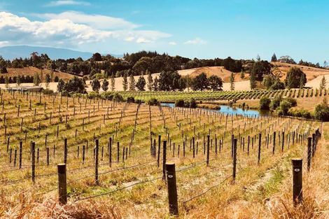 Photo of property in 49 Aranui Road, Mapua, 7005