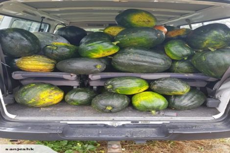 Photo of property in 37 Kaka Street, Taupo, 3330