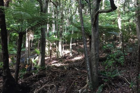 Photo of property in 16 Waikarekare Lane, Karekare, Auckland, 0772