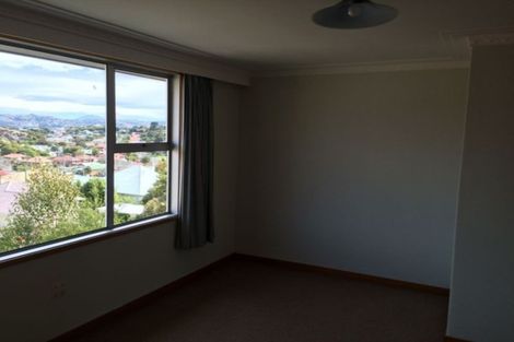 Photo of property in 6c Meuse Lane, Andersons Bay, Dunedin, 9013