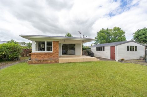 Photo of property in 115 Fitzroy Avenue, Fitzroy, Hamilton, 3206