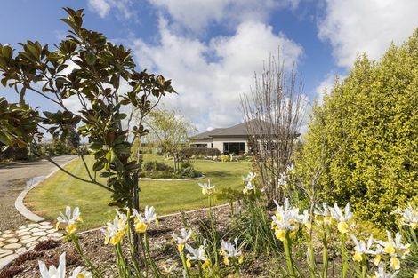 Photo of property in 544c Taonui Road, Colyton, Feilding, 4775