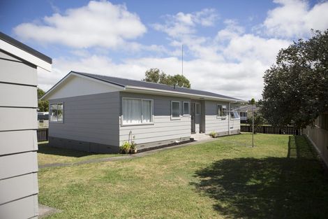 Photo of property in 161 Pollard Drive, Te Awamutu, 3800