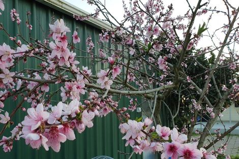 Photo of property in 21 Farmer Road, Waitoa, 3310