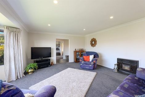 Photo of property in 22 Chelsea Avenue, Richmond, 7020