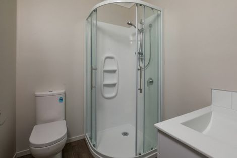 Photo of property in 67 Tawa Street, Melville, Hamilton, 3206