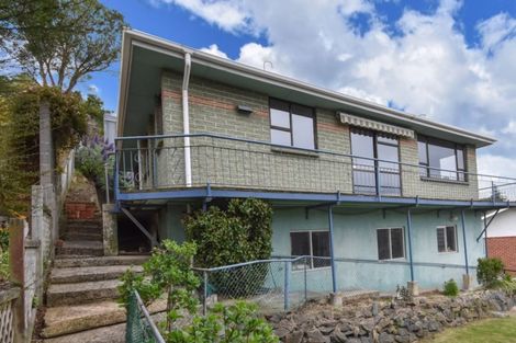 Photo of property in 151 Evans Street, Opoho, Dunedin, 9010