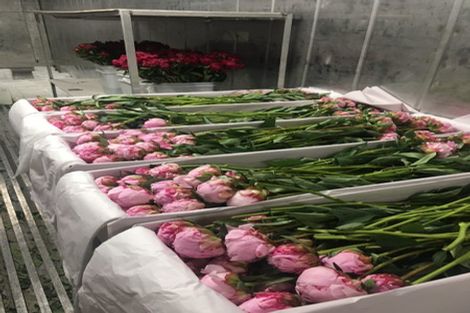 Photo of property in 63 Coopers Road, Leeston, 7682