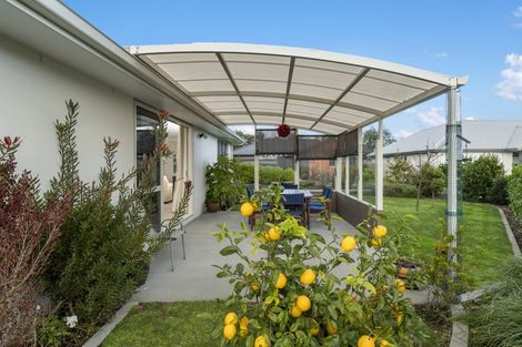 Photo of property in 9 Nelson Lane, Omokoroa, 3114