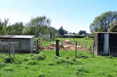 Photo of property in 54 Waihou Road, Levin, 5571