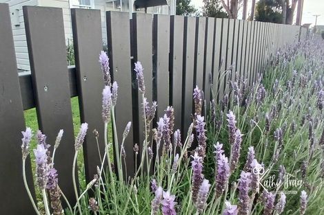 Photo of property in 163 Victoria Street, Dargaville, 0310